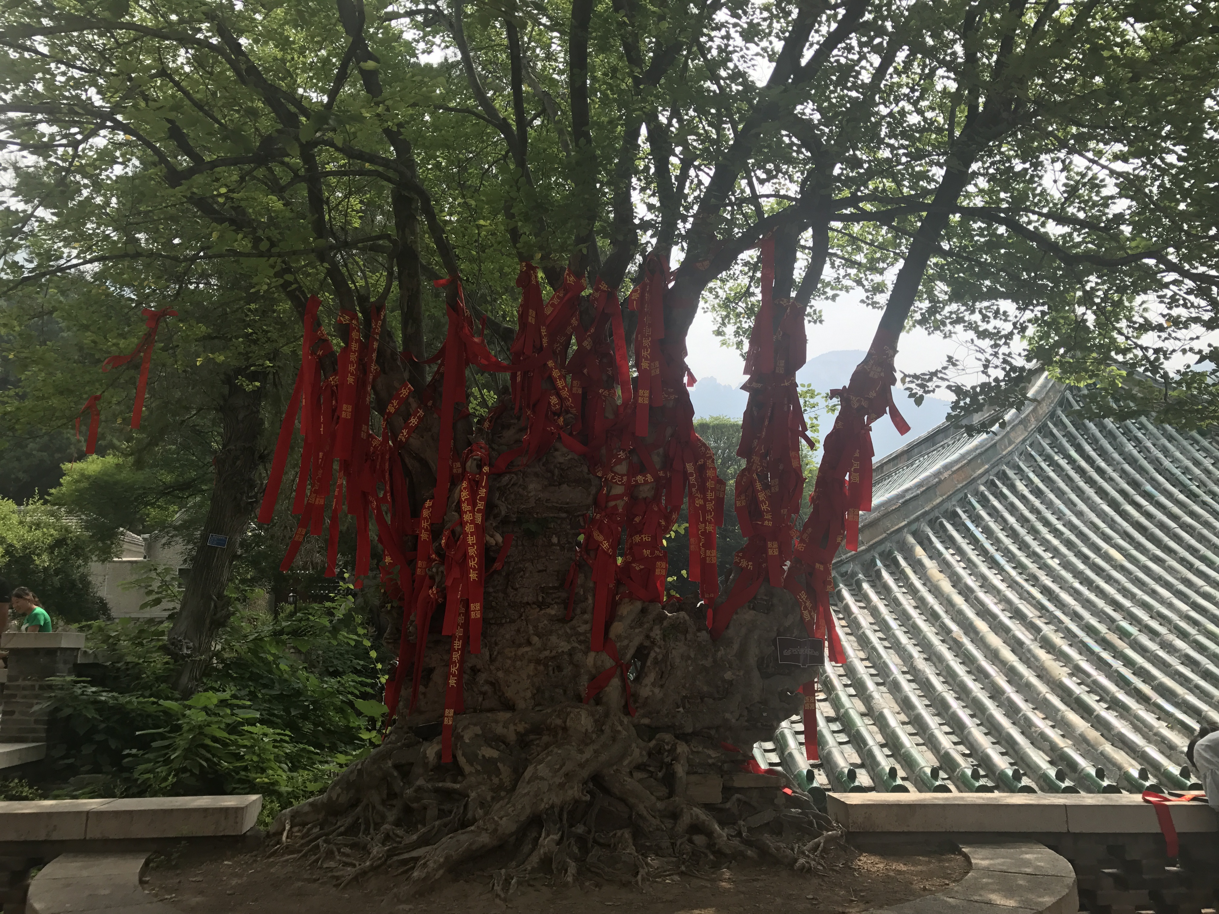 1536810872187012.jpg 1536810872187012.jpg