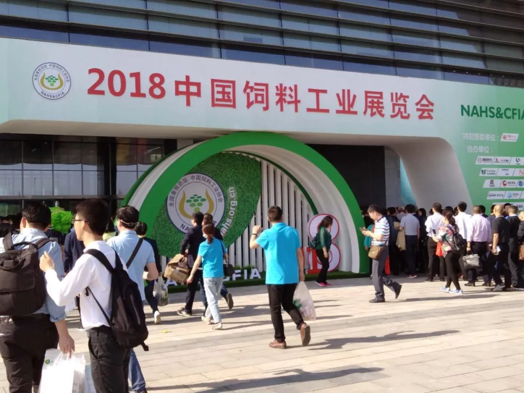 饲料级甲酸钙 饲料级甲酸钙