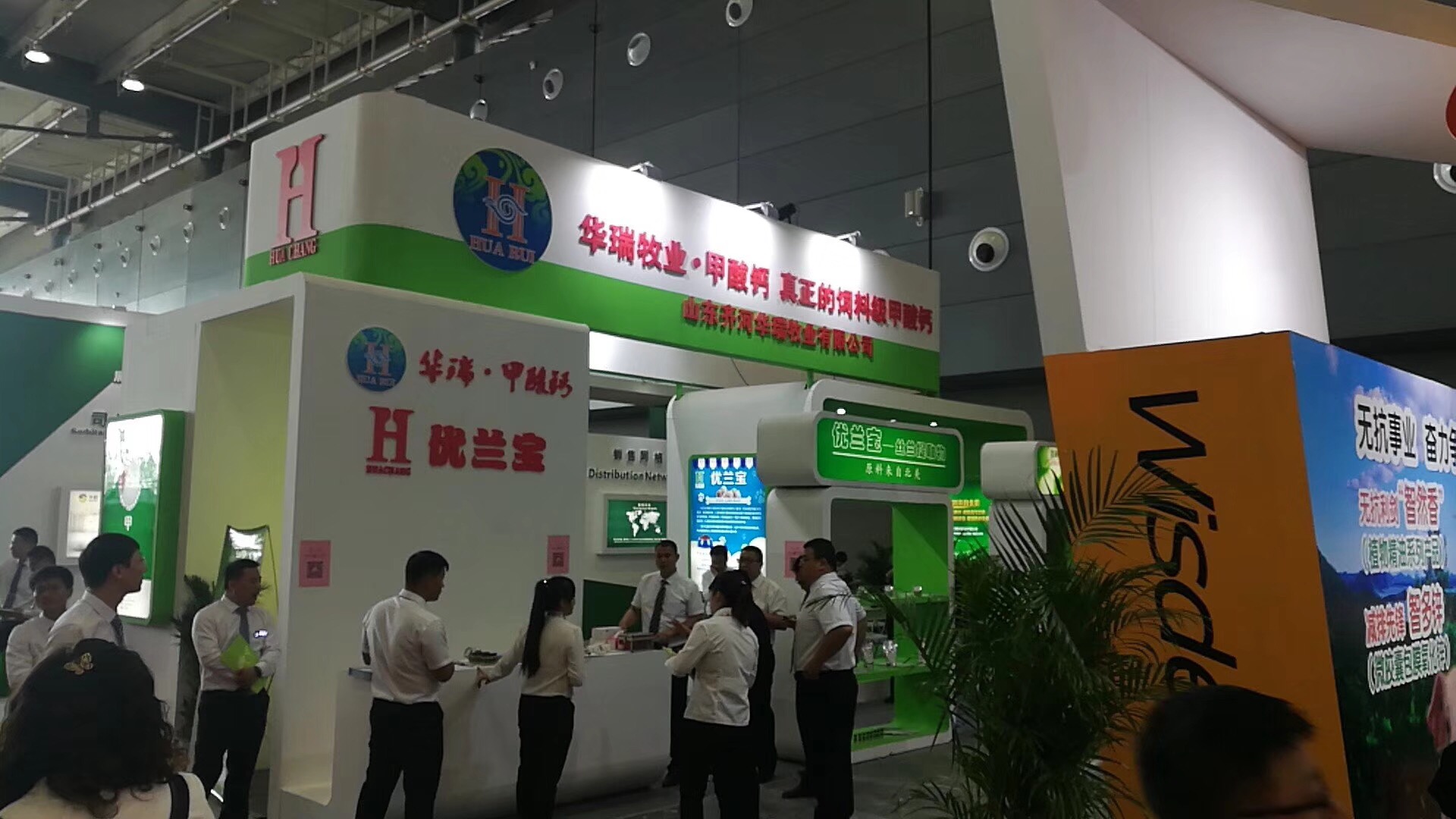 饲料级甲酸钙 饲料级甲酸钙