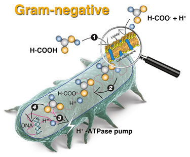 1537929004927922.gif 微信图片_20180926102456.gif