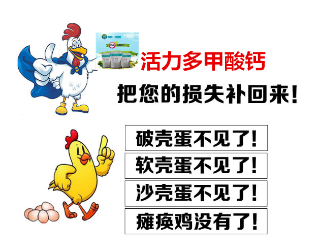 甲酸钙提高蛋鸡产蛋量减少破壳 甲酸钙提高蛋鸡产蛋量减少破壳