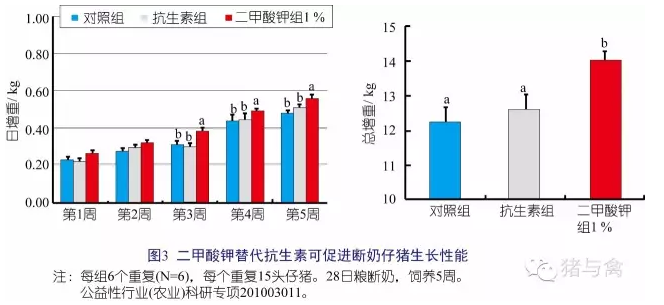 1555320465257162.png 3.png