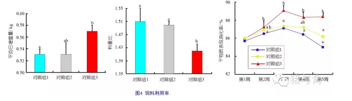 1555320480241220.png 4.png