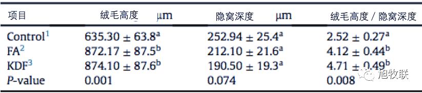 1556525237826557.jpg 7.jpg