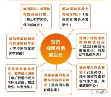 二甲酸钾 英国上市公司365