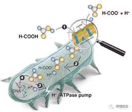 1559182159315486.png 微信图片_20190508093329.png