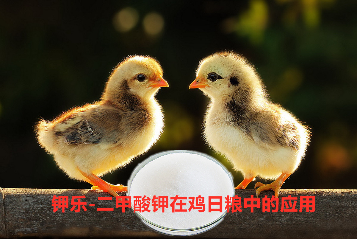 1563414786880684.jpg 20160830083627_5787_副本.jpg