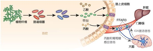 1564020208889257.png 微信图片_20190725091127.png