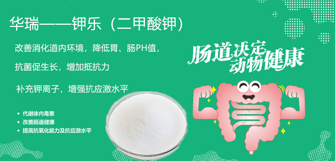 1564107647415175.jpg 微信图片_20190719141405.jpg