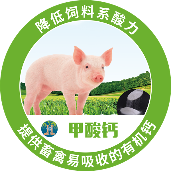 1565312897710508.png 11_副本.png