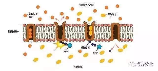 1574038895833402.png 微信图片_20191118085917.png