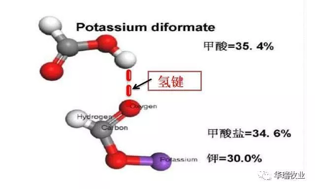 1574038934672076.png 微信图片_20191118090025.png