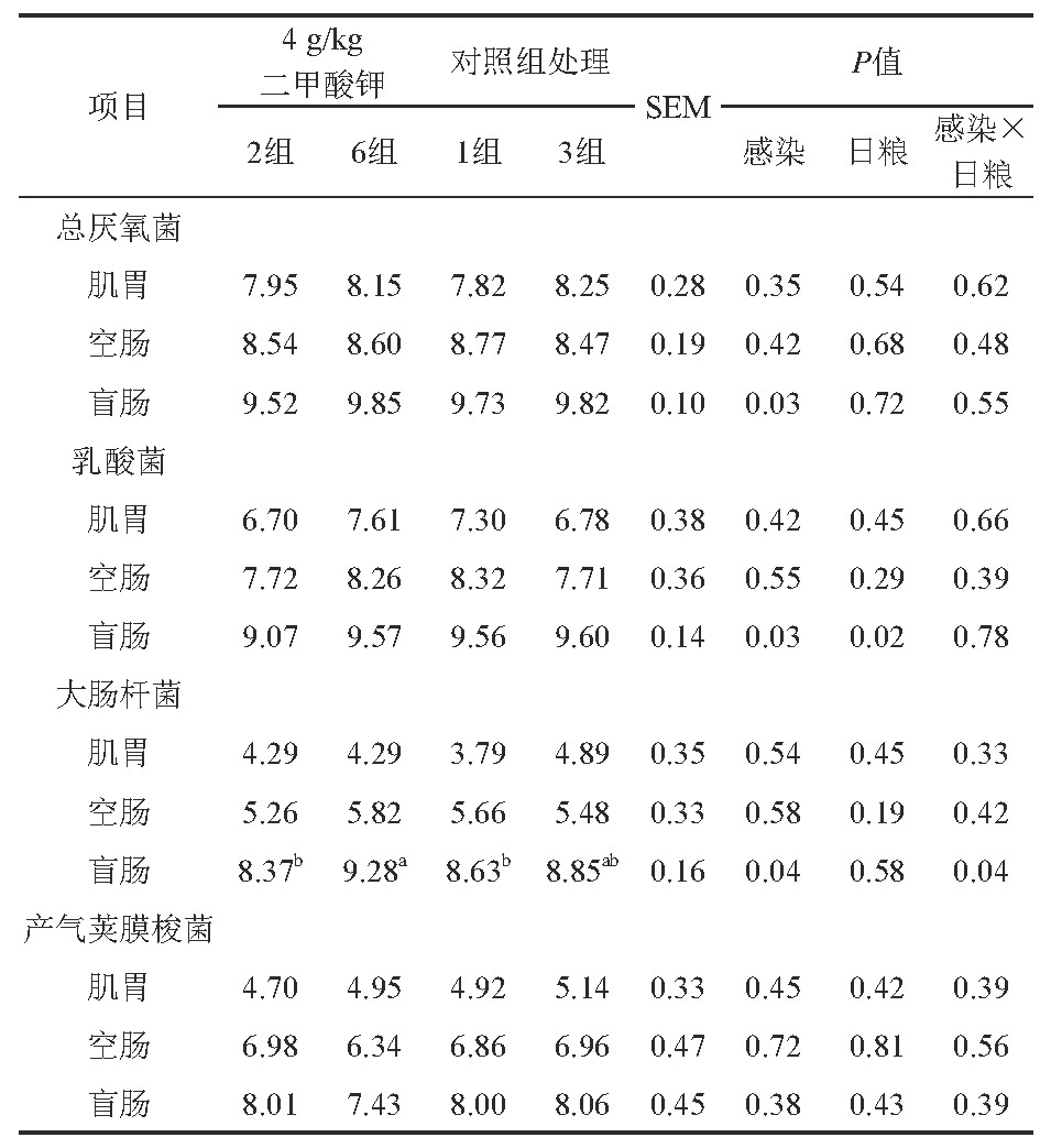 1574066686322812.jpg SLGZ201912019_01800.jpg