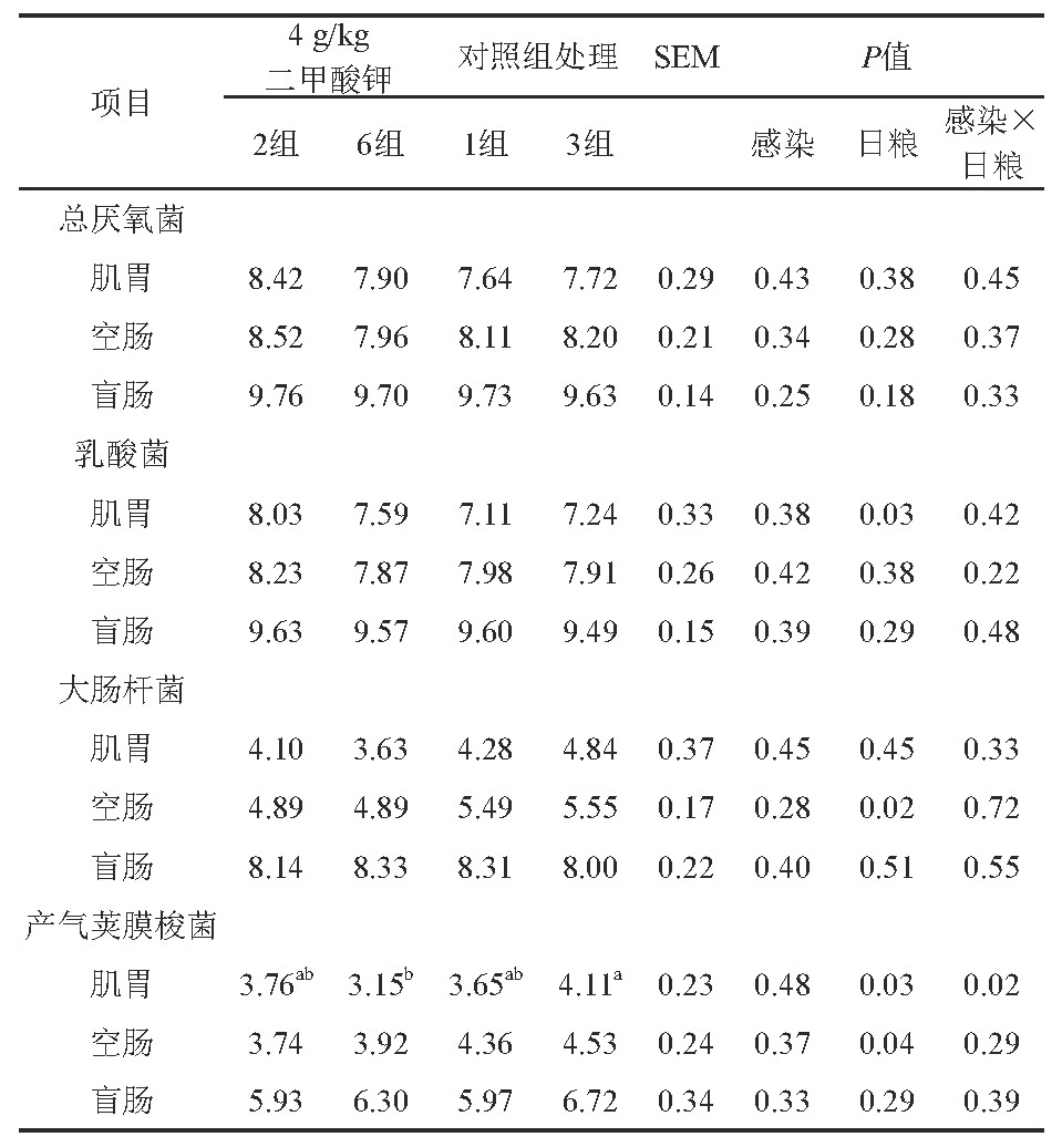 1574066699583414.jpg SLGZ201912019_01900.jpg