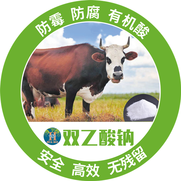 1575252521997607.png 10_副本 (1).png