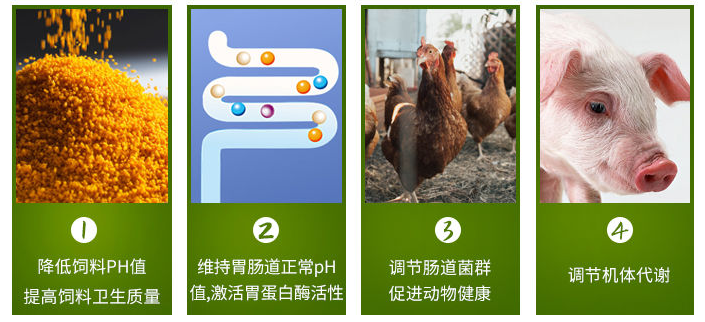 1588843930354227.png 微信图片_20200506134951.png