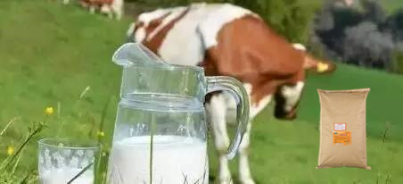 1591338259525316.jpg u=3018962889,152787996&fm=26&gp=0.jpg