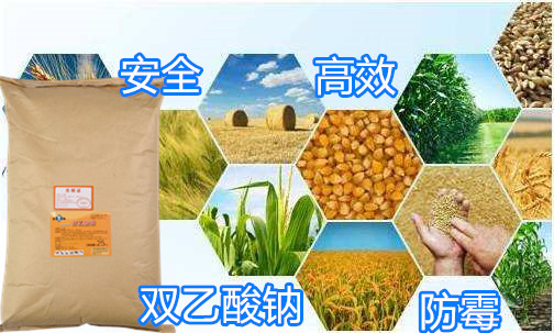 1593512810540479.jpg timg.jpg