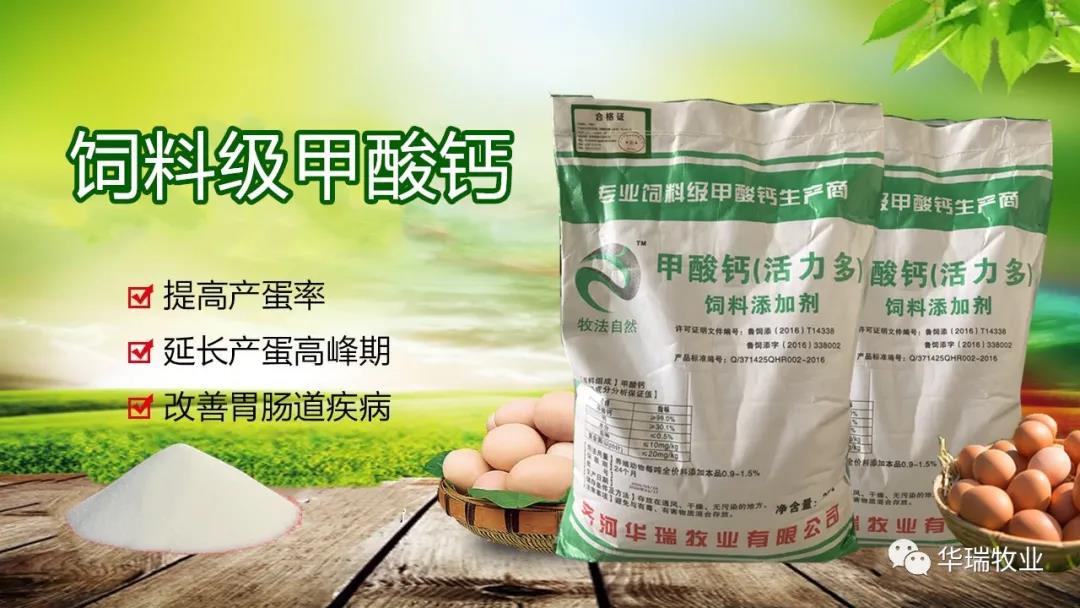 1599025168809051.jpg 微信图片_20200902133856.jpg