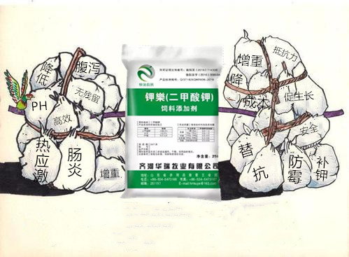 1599791794893515.jpg u=836635232,2769422964&fm=26&gp=0_副本.jpg