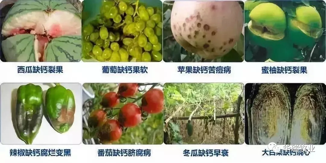 1625475366453004.png 微信图片_20210705165544.png